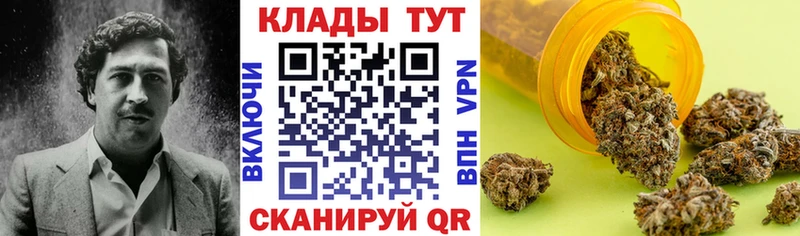 Купить наркотики Курган APVP COCAIN блэк спрут как войти ГАШ Мефедрон