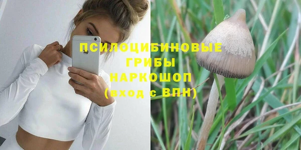а пвп мука Аркадак