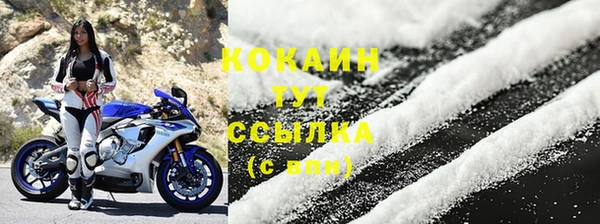 гашик Нягань