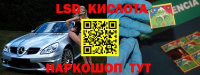 индика Бердск