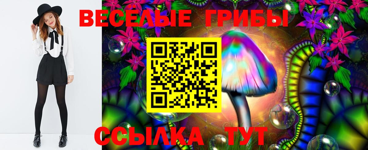 Псилоцибиновые грибы ЛСД Курган